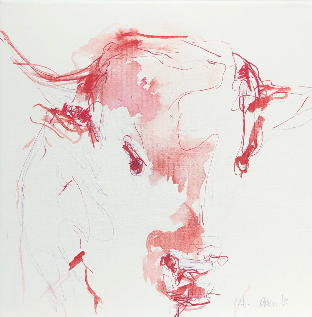 Bull Head with red, 40 x 40 cm